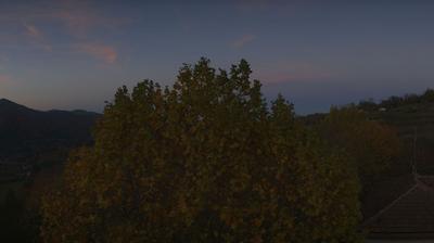 immagine della webcam nei dintorni di Costigliole d'Asti: webcam Bosia