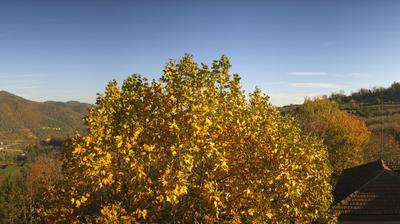 immagine della webcam nei dintorni di Costigliole d'Asti: webcam Bosia