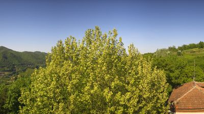 immagine della webcam nei dintorni di Cerretto Langhe: webcam Bosia