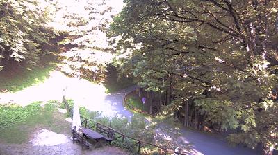 immagine della webcam nei dintorni di San Benedetto in Alpe: webcam Campigna