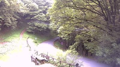 immagine della webcam nei dintorni di Passo della Consuma: webcam Campigna