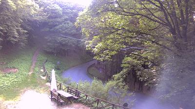 immagine della webcam nei dintorni di Passo della Consuma: webcam Campigna