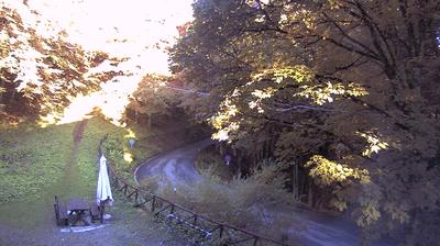 immagine della webcam nei dintorni di Pratovecchio: webcam Campigna