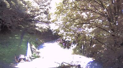immagine della webcam nei dintorni di Pelago: webcam Campigna