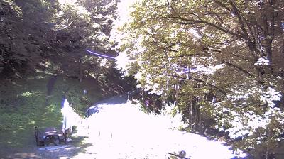 immagine della webcam nei dintorni di Modigliana: webcam Santa Sofia