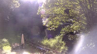 immagine della webcam nei dintorni di Montemignaio: webcam Campigna