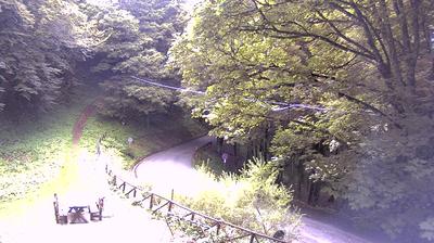 immagine della webcam nei dintorni di Stia: webcam Campigna