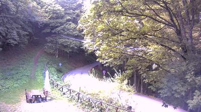 immagine della webcam nei dintorni di Campigna: webcam Santa Sofia