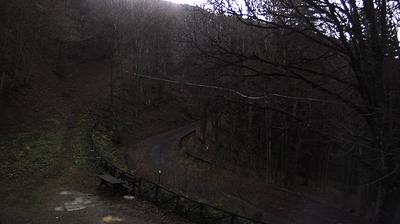 immagine della webcam nei dintorni di Pratovecchio: webcam Campigna