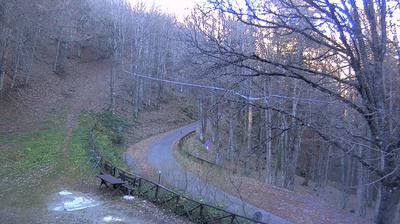 immagine della webcam nei dintorni di Pelago: webcam Campigna
