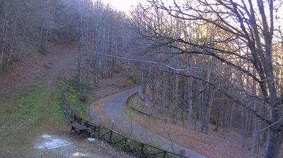 immagine della webcam nei dintorni di San Benedetto in Alpe: webcam Campigna