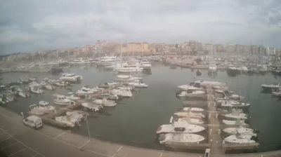 immagine della webcam nei dintorni di Sabaudia: webcam Nettuno