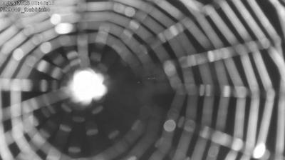Preview delle webcam di Fornovo di Taro