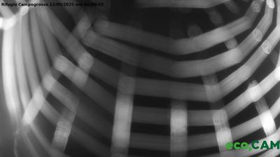 immagine della webcam nei dintorni di Trissino: webcam Recoaro Terme