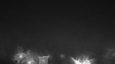 immagine della webcam nei dintorni di Meina: webcam Sangiano