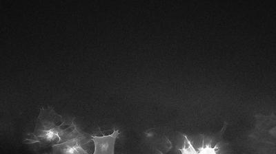 immagine della webcam nei dintorni di Maccagno con Pino e Veddasca: webcam Sangiano