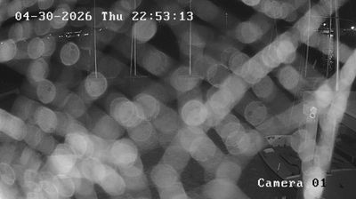 Preview delle webcam di Marina di Campo