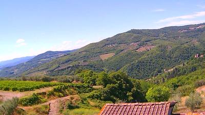 Preview delle webcam di Pontassieve