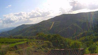 immagine della webcam nei dintorni di Pelago: webcam Montebonello