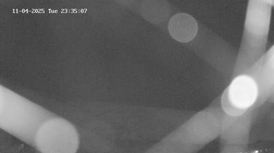 immagine della webcam nei dintorni di Villar Dora: webcam Piossasco