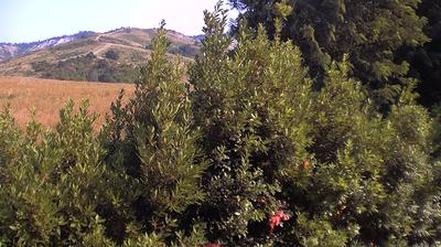 Preview delle webcam di Bologna