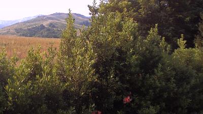 immagine della webcam nei dintorni di Marzabotto: webcam Casalecchio di Reno