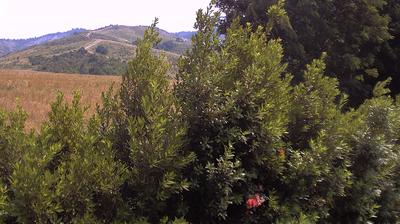 immagine della webcam nei dintorni di San Lazzaro di Savena: webcam Casalecchio di Reno
