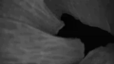 immagine della webcam nei dintorni di Roccavignale: webcam Valleggia