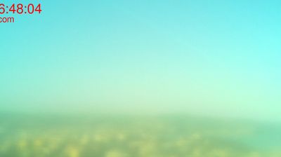 immagine della webcam nei dintorni di Sistiana: webcam Muggia