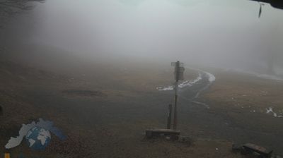 immagine della webcam nei dintorni di Morfasso: webcam Santo Stefano d'Aveto