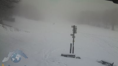 immagine della webcam nei dintorni di Favale di Malvaro: webcam Santo Stefano d'Aveto