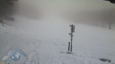 immagine della webcam nei dintorni di Zerba: webcam Santo Stefano d'Aveto