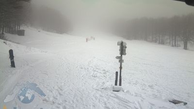 immagine della webcam nei dintorni di Propata: webcam Santo Stefano d'Aveto