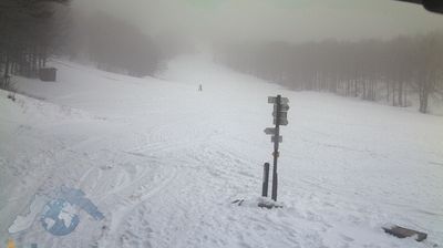 immagine della webcam nei dintorni di Bedonia: webcam Santo Stefano d'Aveto