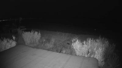 immagine della webcam nei dintorni di Campli: webcam Martinsicuro