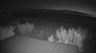 immagine della webcam nei dintorni di Morro d'Oro: webcam Martinsicuro