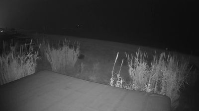 immagine della webcam nei dintorni di Scerne: webcam Martinsicuro