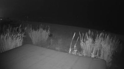 immagine della webcam nei dintorni di Alba Adriatica: webcam Martinsicuro