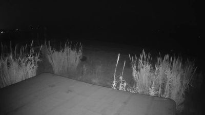 immagine della webcam nei dintorni di Grottammare: webcam Martinsicuro