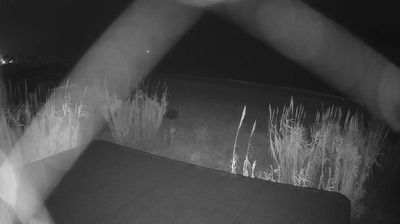 immagine della webcam nei dintorni di San Benedetto del Tronto: webcam Martinsicuro