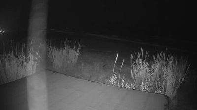 Preview delle webcam di Martinsicuro