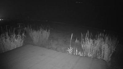 immagine della webcam nei dintorni di Offida: webcam Martinsicuro