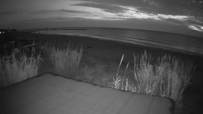 immagine della webcam nei dintorni di Cossignano: webcam Martinsicuro