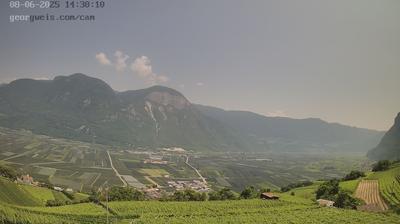 immagine della webcam nei dintorni di Novella: webcam Cortaccia sulla Strada del Vino