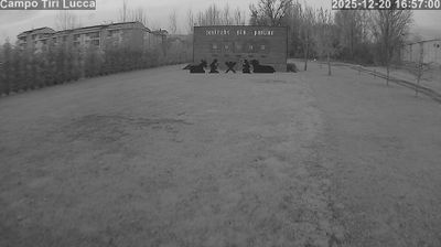 immagine della webcam nei dintorni di Torre Del Lago Puccini: webcam Lucca