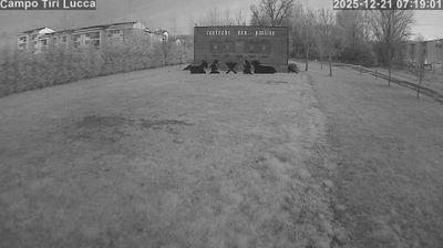 immagine della webcam nei dintorni di Cascina: webcam Lucca