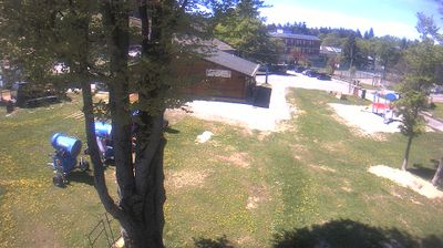 immagine della webcam nei dintorni di Febbio: webcam Piane di Mocogno