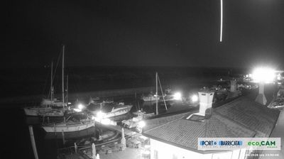 immagine della webcam nei dintorni di Isola Albarella: webcam Scardovari