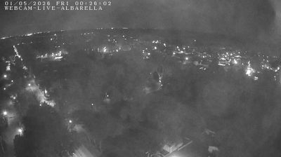 immagine della webcam nei dintorni di Isola Verde: webcam Isola Albarella
