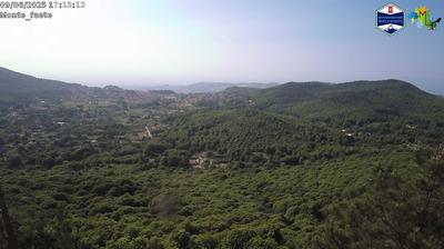 immagine della webcam nei dintorni di Palestrina: webcam Domatore